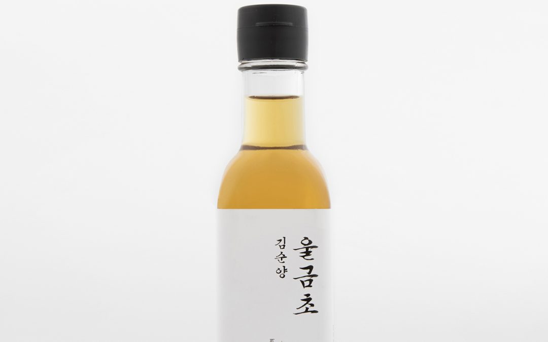김순양 발효식초